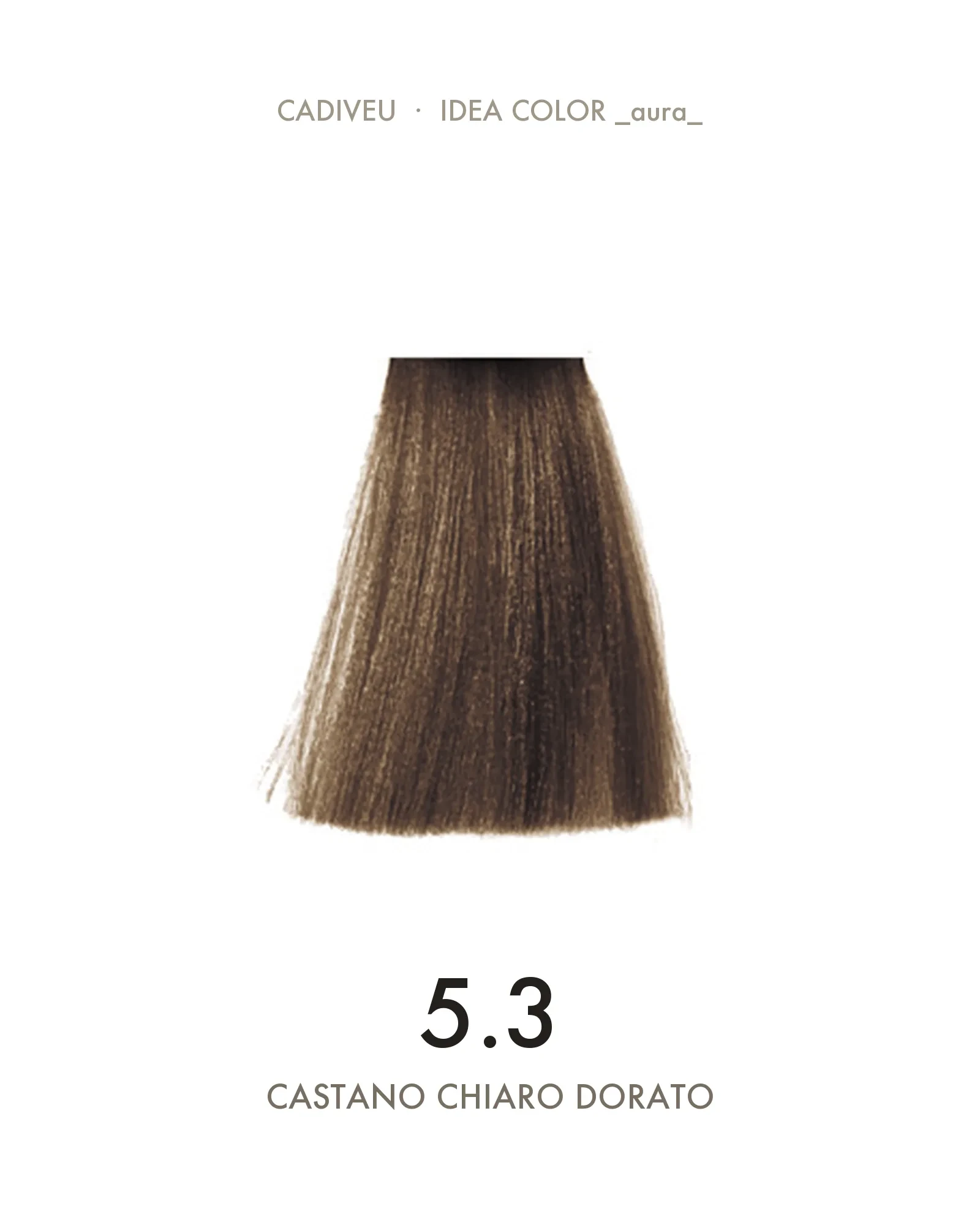 1055589_000-Aura_5.3_Castano_Chiaro_Dorato_-_Colore_Professionale_Cadiveu-2.webp