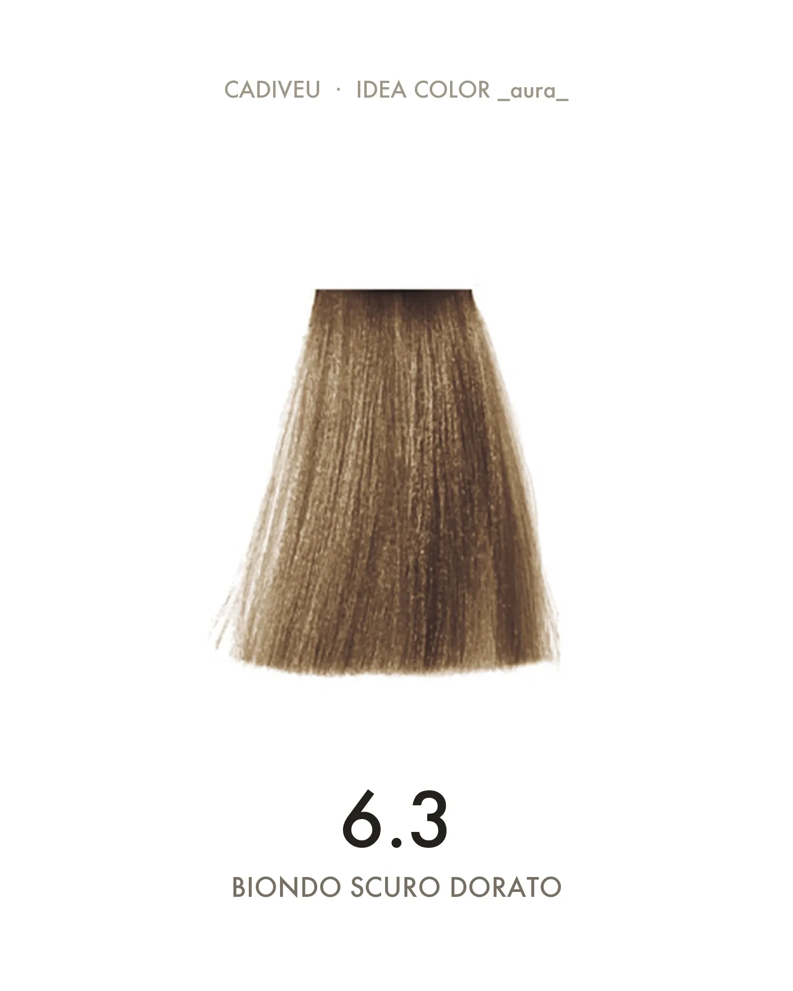 1055590000-Aura-63-Biondo-Scuro-Dorato---Colore-Professionale-Cadiveu-02-2.webp