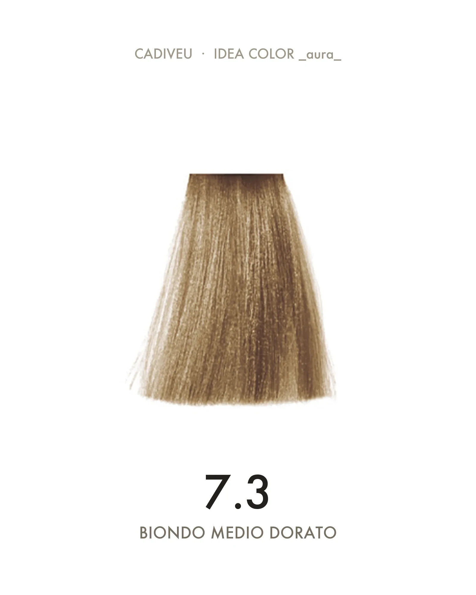 1055591000-Aura-73-Biondo-Medio-Dorato---Colore-Professionale-Cadiveu-02.webp