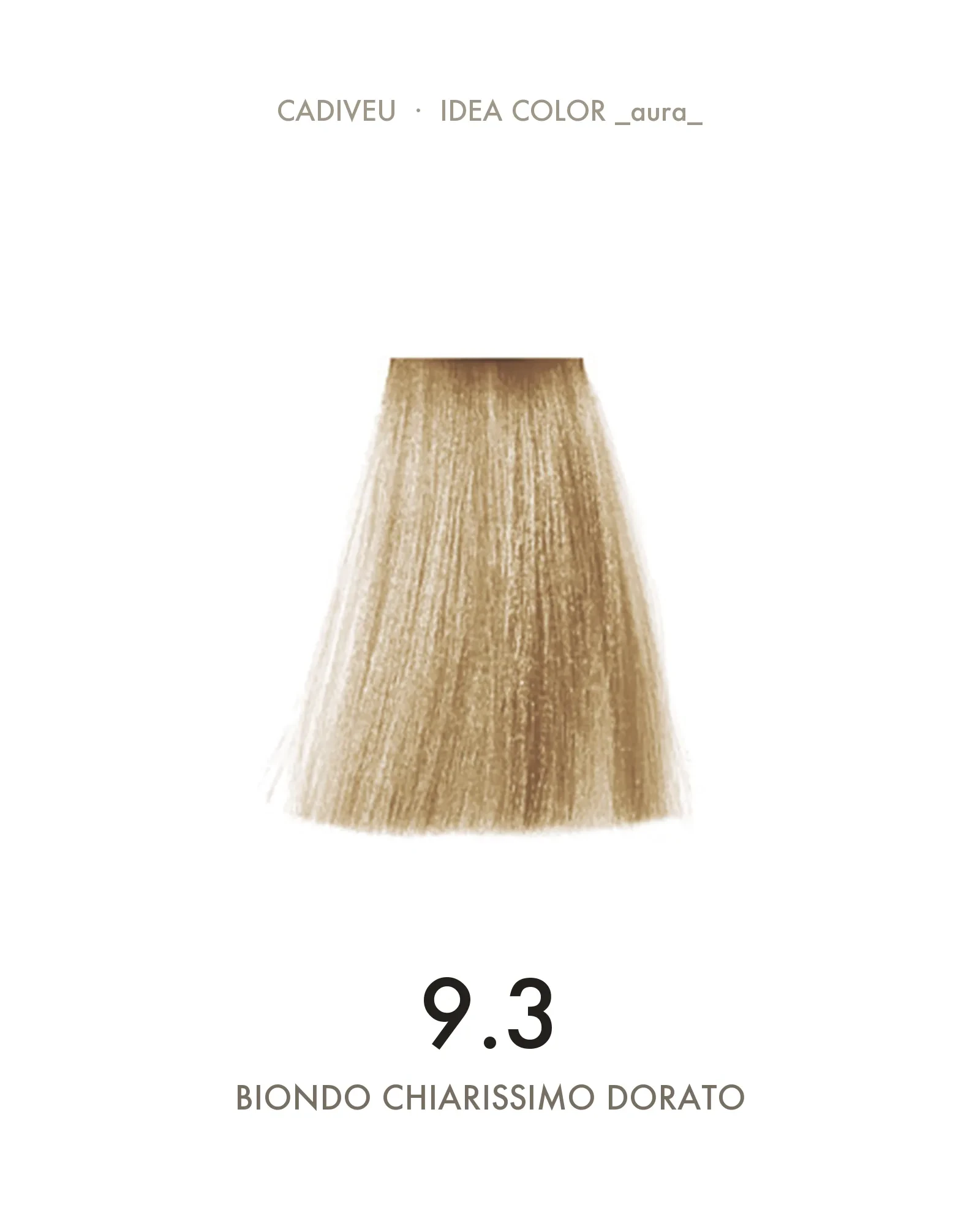 1055593_000-Aura_9.3_Biondo_Chiarissimo_Dorato_-_Colore_Professionale_Cadiveu-2.webp