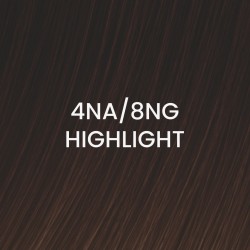 505025-04NA8NG-H-4NA-8NG-Highlight-extension-weft-power-BHBD-capelli-veri-1.jpg