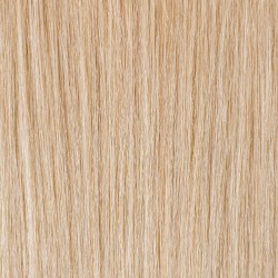 EXT0160ART-EXT-nuance-ARTIC.jpg