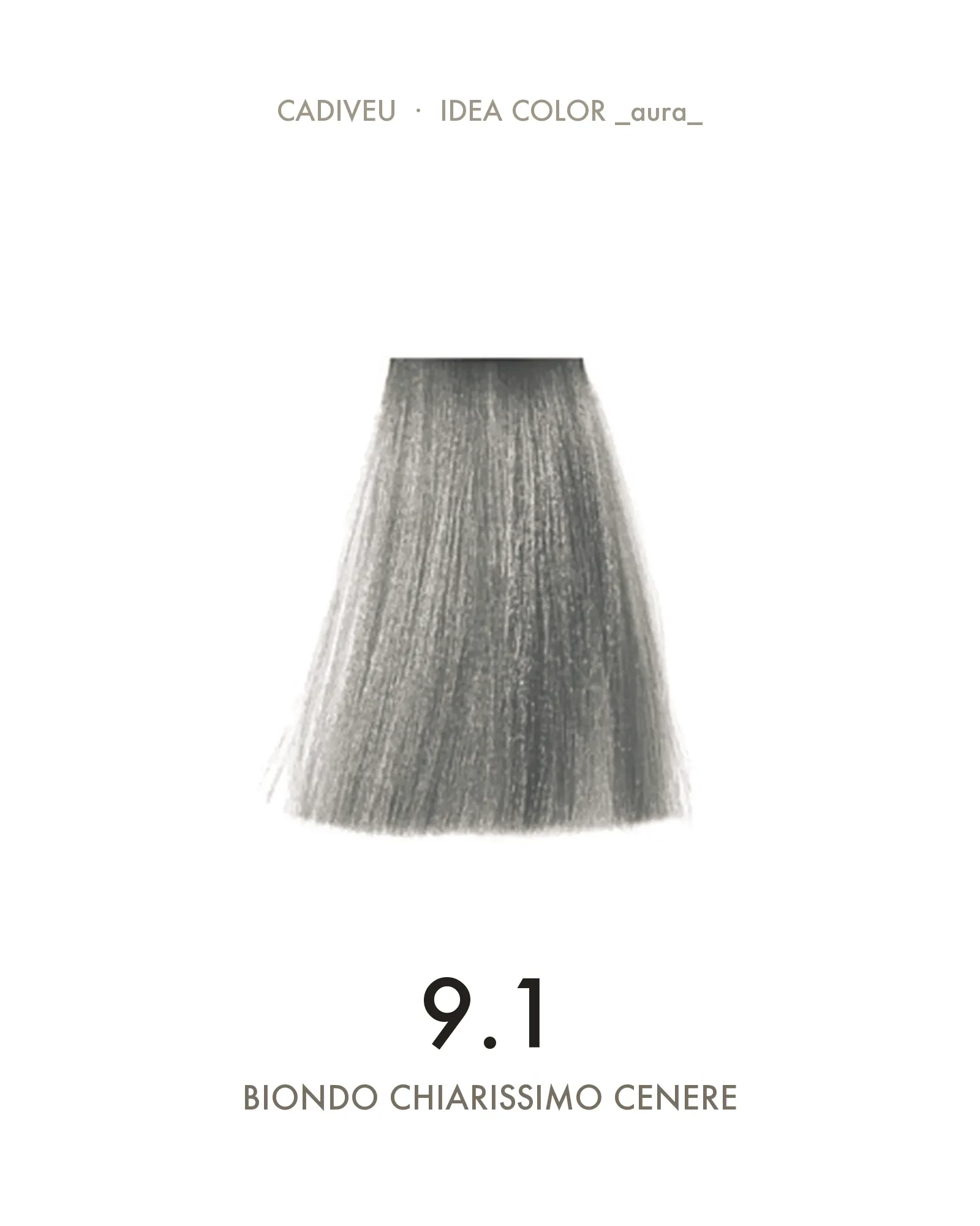 1055576000-Aura-91-Biondo-Chiarissimo-Cenere---Colore-Professionale-Cadiveu-02.webp