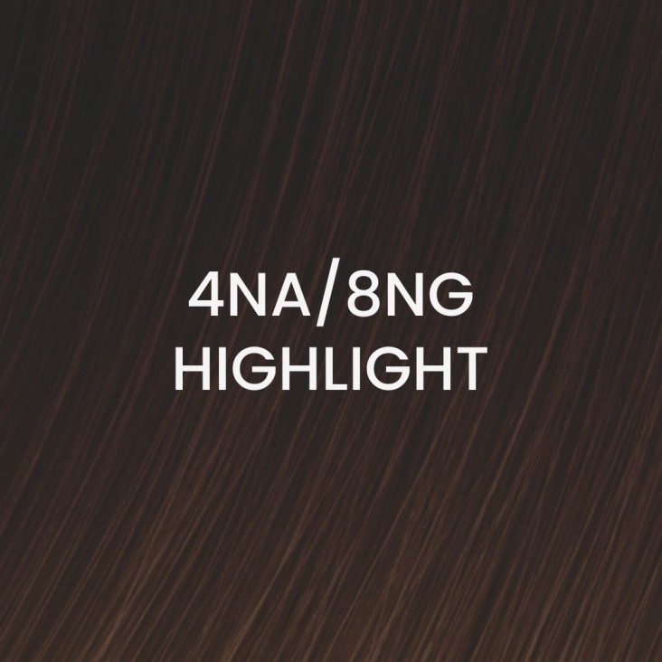 505025-04NA8NG-H-4NA-8NG-Highlight-extension-weft-power-BHBD-capelli-veri-1.jpg