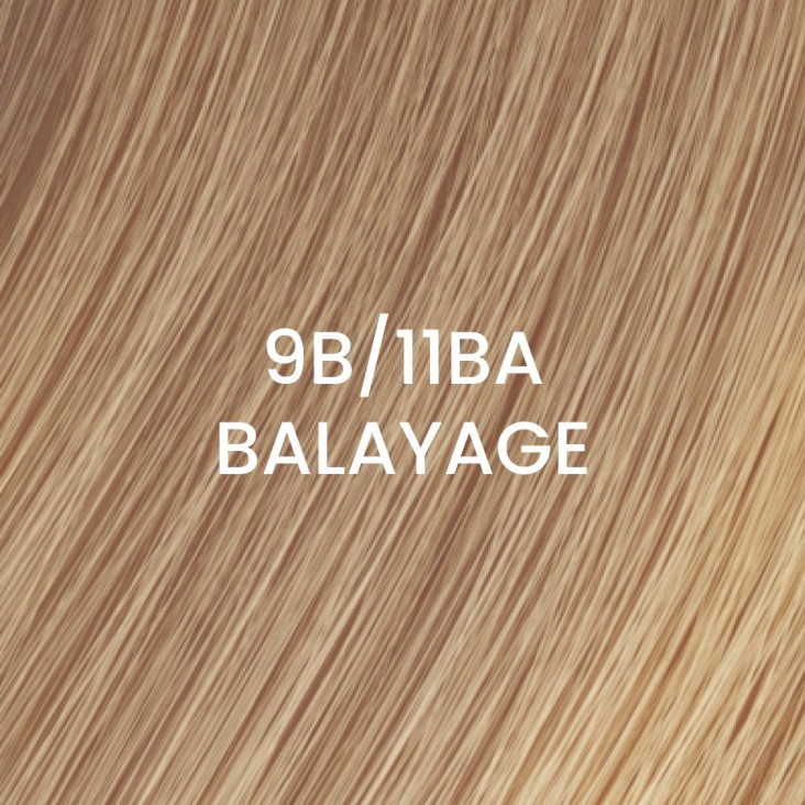 505025-09B11BA-B-9B-11BA-Balayage-extension-weft-power-BHBD-capelli-veri-1.jpg