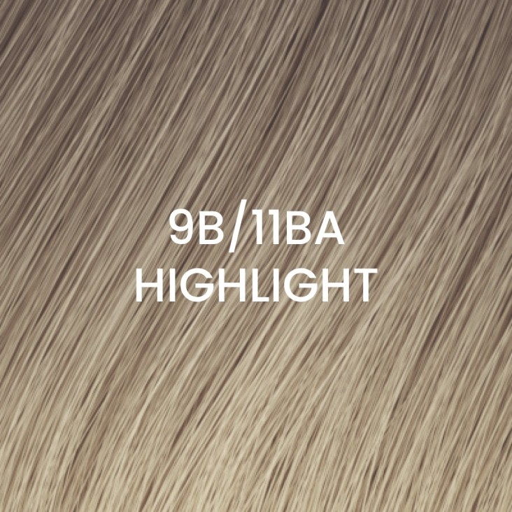 505025-09B11BA-H-9B-11BA-Highlight-extension-weft-power-BHBD-capelli-veri-1.jpg